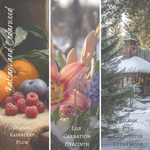 Load image into Gallery viewer, Amber Wickless Candle Jar
