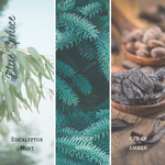 Load image into Gallery viewer, Blue Spruce Wood Wick Candle
