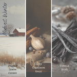 Load image into Gallery viewer, Midwest Winter Wood Wick
