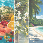 Load image into Gallery viewer, Car Freshie Refill Bottle
