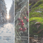 Load image into Gallery viewer, Winter Walk Wood Wick Candle

