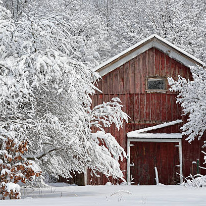 Midwest Winter Wood Wick