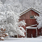 Load image into Gallery viewer, Midwest Winter Wood Wick
